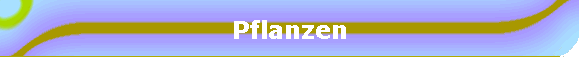Pflanzen