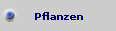 Pflanzen