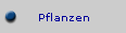 Pflanzen